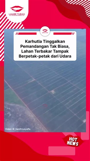 Lahan Kalimantan Terbakar Karhutla Berpetak Rapi, Apa Fungsinya?