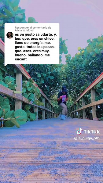 Dance Moves in Nature: Being Seduced by Energy