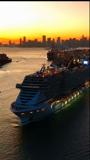 The golden hour in Miami Beach. MSC Cruise sail away. | cruiseshipsailings