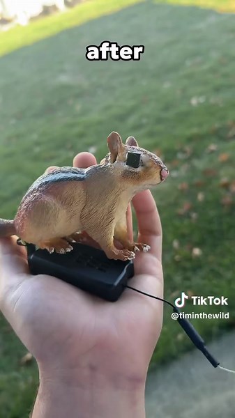 I made a spy chipmunk 🐿️ | chipmunk
