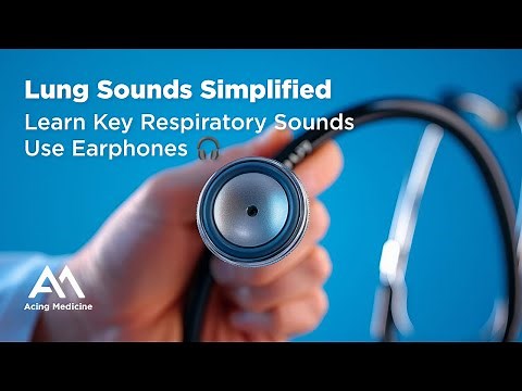 Lung Sounds Simplified | Learn Key Respiratory Sounds (Use Earphones 🎧) | Acing Medicine