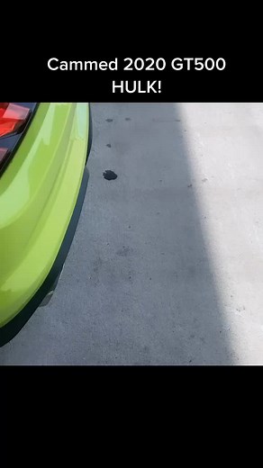 1st CAMMED 2020 GT500 in the UNIVERSE ! #stang #2020gt500 #shelby #stangmode