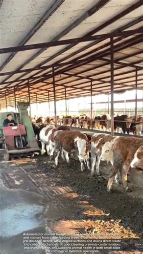 Efficient livestock trough cleaning
