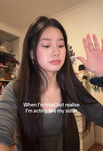 Understanding Sibling Dynamics: Blame and Behavior