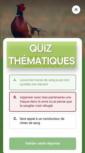 ChassExam : révise pour l'examen du permis de chasser !