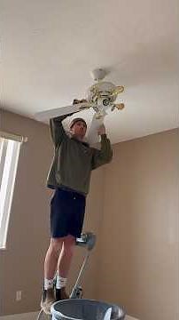 Removing a Ceiling Fan + Adding Can Lights