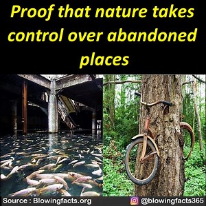 1.7M views · 25K reactions | Proof that nature takes control over abandoned places | Facts that will blow your mind | Facebook