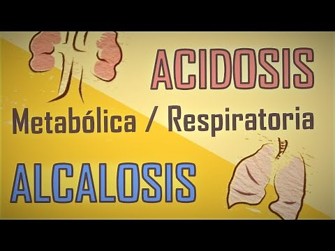🧪 Entendiendo la Acidosis y Alcalosis (Respiratorias y Metabólicas) 🧪