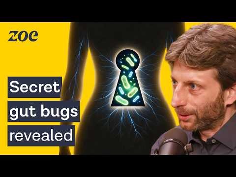 Groundbreaking research reveals the 50 NEW gut bacteria you need to reshape body fat