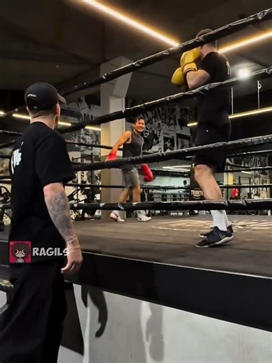 meme absurd penjinak sawit#meme #memes #lucu