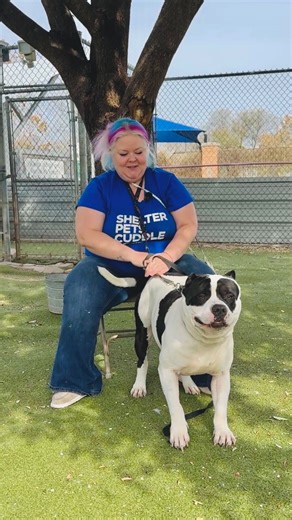 Servicios para Animales de Austin on Instagram: "Tu compañero perfecto podría estar a solo una visita de distancia. 💘 Marjorie ayudó a su Pawlentine, Draco, a encontrar un hogar lleno de amor, ¡y ahora esperamos ayudar a que el resto de los amigos de Draco que aún esperan en el refugio encuentren el suyo también! Acompáñanos el siguiente próximo fin de semana durante nuestra promoción de adopciones: 🗓️13 de febrero al 15 de febrero 💘Tarifas de adopción de solo $14 📍7201 Levander Loop Edi. A