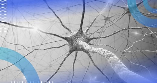 5 Neural Network Activation Functions to Know | Built In