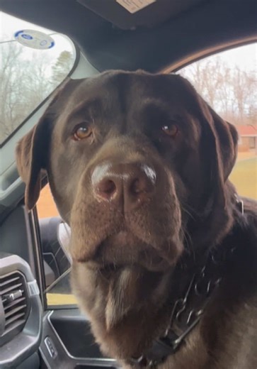 The Excitement of Visiting Grandma's House