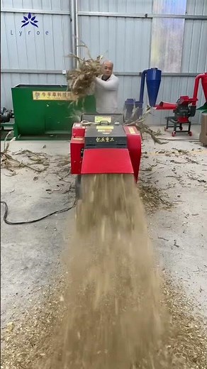 High-Speed Chaff Cutter Demo: Turning Corn Stalks into Premium Feed in Seconds! #livestockfeed