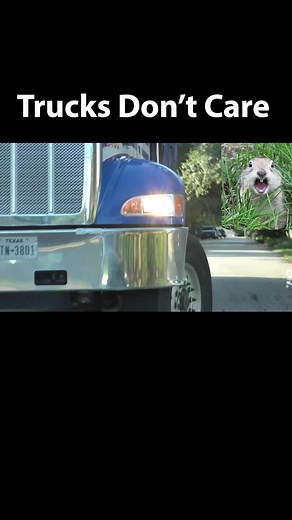 Scotty Kilmer on TikTok