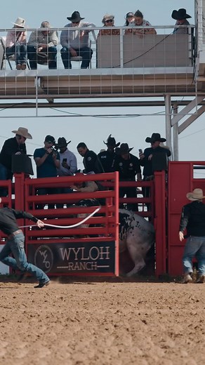 It’s the first of the month… you know what to do. Cash your checks—and get in on Longview. $25,000 to the first place team. $8,000 guaranteed to the top bull rider. Entry Fee: $2,500 Rider Fee: $200 Date: April 26 | Longview, TX Spots are limited. Don’t wait. Register your team today and come get your cut. #BullTeamsOnly #FirstOfTheMonth #CashYourChecks #LongviewTX #BullRiding #BTOLongview | BTO-Bull Teams Only