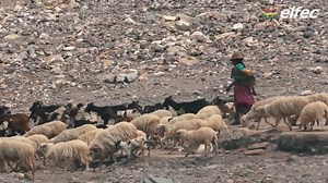 149K views · 1.9K reactions | ELFEC S.A realiza la entrega de 1000 Kits Solares a familias del área rural del departamento de Cochabamba que aún no se encuentran dentro del área de concesión. #ELFEC #AlumbrandoElCorazónDeBolivia | ELFEC | Facebook