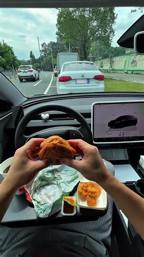 快速停车充饥 #焕新版model3 #单踏板模式 #第一视角