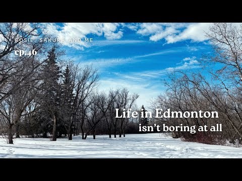 Our Edmonton Days — Simple, Calm, and Pretty Good | Life with Rescue Dogs in Canada 🇨🇦