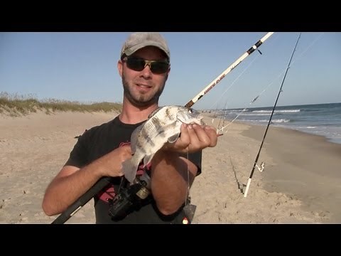 Surf Fishing Hatteras