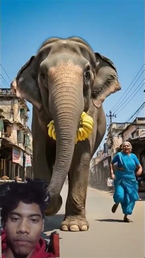 🐘😭 Baby Elephant Rescue That Touched Millions | You Will Cry Watching This
