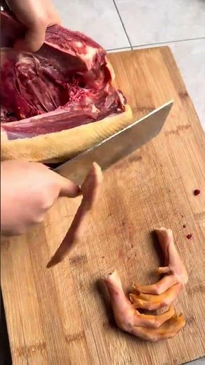 Unveil the Best Spring Festival Traditions