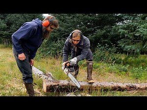 ALASKA Off-Grid Cabin Life (Chainsaw Lessons and Wild Blueberries)