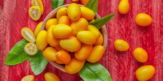 What the Heck Is a Kumquat — And What Does It Taste Like?