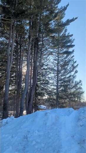 Known (Psalm 139:1-3, NIV)