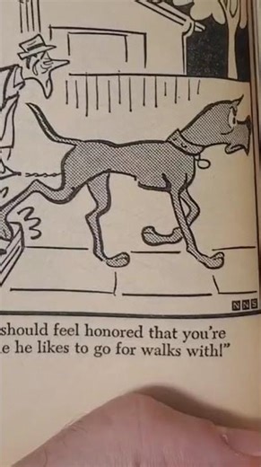 Reading A Marmaduke Book From 1964 📚