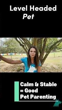 Before You Give Up: Relationship Rehab for Aggressive Dogs #dogpsychology101