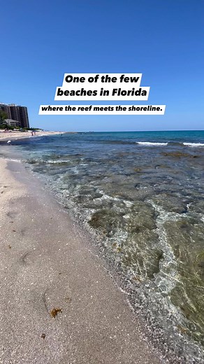 525K views · 6.4K reactions | Ocean Reef Park in Riviera Beach,...