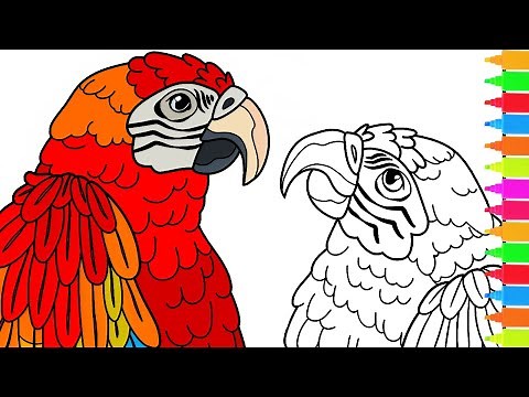Coloring Parrots in Love, New Mirror for a Peacock, Hummingbird Heaven | Birds Coloring Pages
