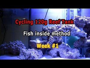 HOW TO cycle reef tank E2, Week #1 | How To Accelerate Aquarium Cycle in 2 weeks