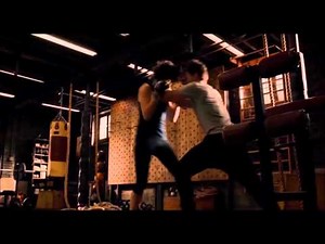 Ant Man Scott Lang VS Hope van Dyne Fight Scene