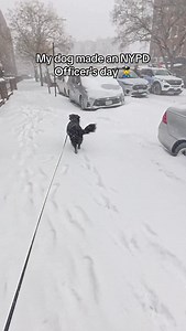 sweetest police officer ever @nypd you could say they made each others day 🥹 this was grims first big snow storm so he was very VERY over excited. - - - #dog #nypd #dogs #funnypet #funnypets #cutedogs #aussie #australianshepherd #puppy #dog #dogsoftiktok #dogs #adopteddog #adoption #shelterdog #adopted #cutedog #cutedogs #puppies #puppytiktok #adoptdontshop | Grimtheozzy