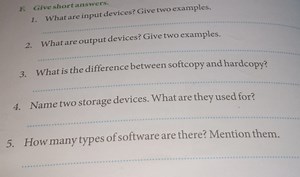 F. Give short answers.What are input devices? Give two exampl... | Filo