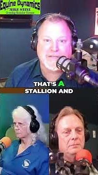 Gelding vs. Stallion: Unlocking Your Horse's Potential