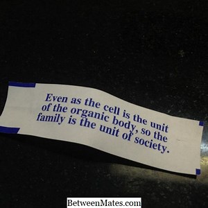 은유와 Simile의 차이 - 언어 2026