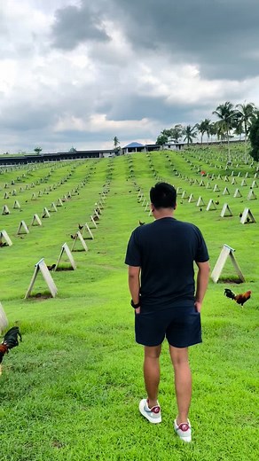 AEJ Gamefarm - Explore the World of Farm Animals with AEJ