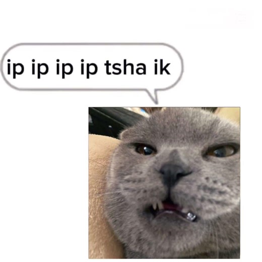 turip tip tip tip ip ip