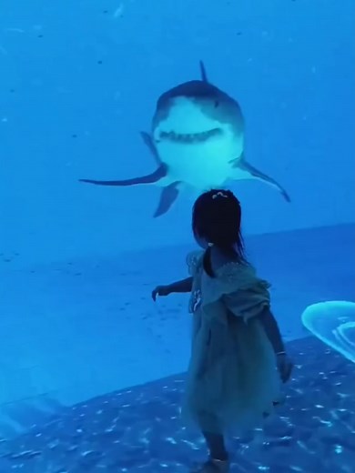 The 3D underwater world felt so real that when the shark lunged with its bloody jaws wide open, the little girl fell over in shock! #3D#technology#hightech #shark#animals#kids#cute#animation#fyp#viralvideos#viralreels