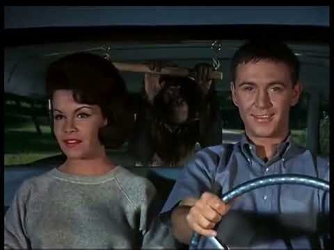 Flying Machine Test #1 (Part 1) (1965)