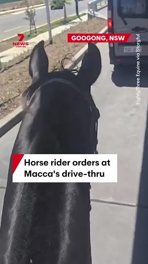 Leading a Horse Through McDonald's Drive-Thru