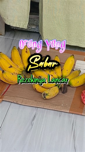 Kreasi Bolen Pisang Coklat Estetik dan Lezat
