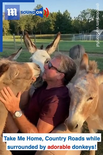 20K views · 392 reactions | Where do you see yourself in 10 years? Me: via storyful | Daily Mail Video | Facebook