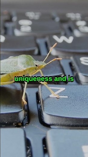 ⚡ Primary Key vs. Index — What’s the Difference?