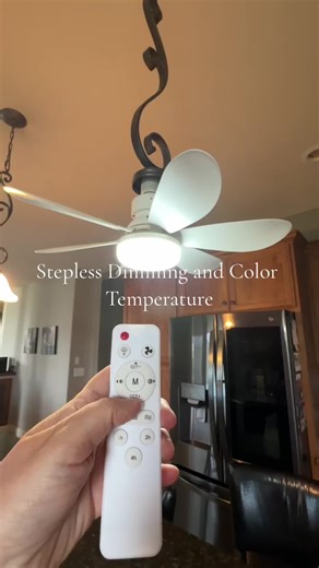 Mini Ceiling Fan Light with Stepless Dimming and Color Temperature Control