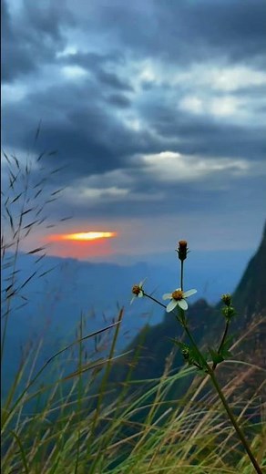 Zindagi Kuch Toh Bata (Reprise) || Jubin Noutiyal LYRICS || Bajrangi Bhaijaan #shorts #viral #short