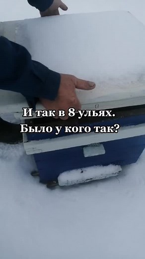 Пчеловодство: Как заботиться о пчелах и меде